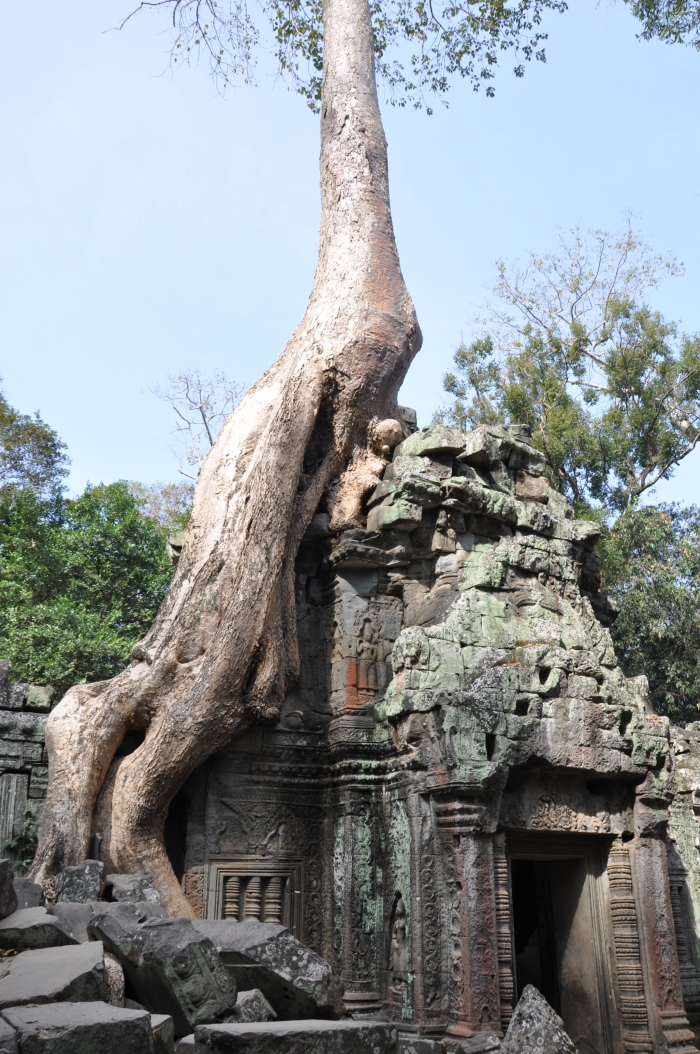Angkor Wat i Kambodja 2 Anna Karlström.jpg